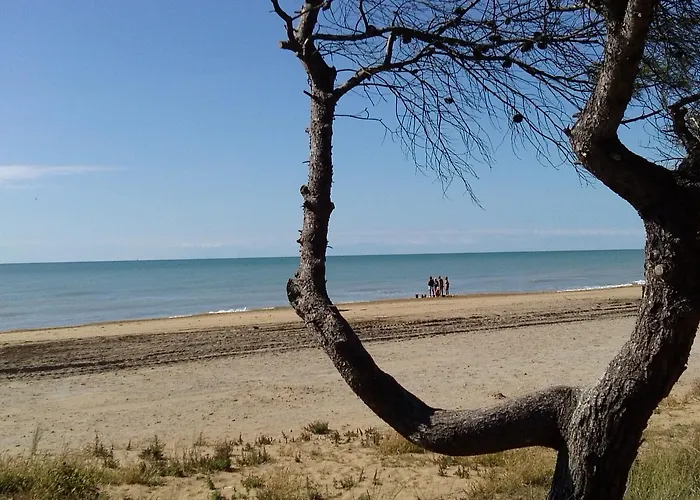 Szálloda Alexander 3*